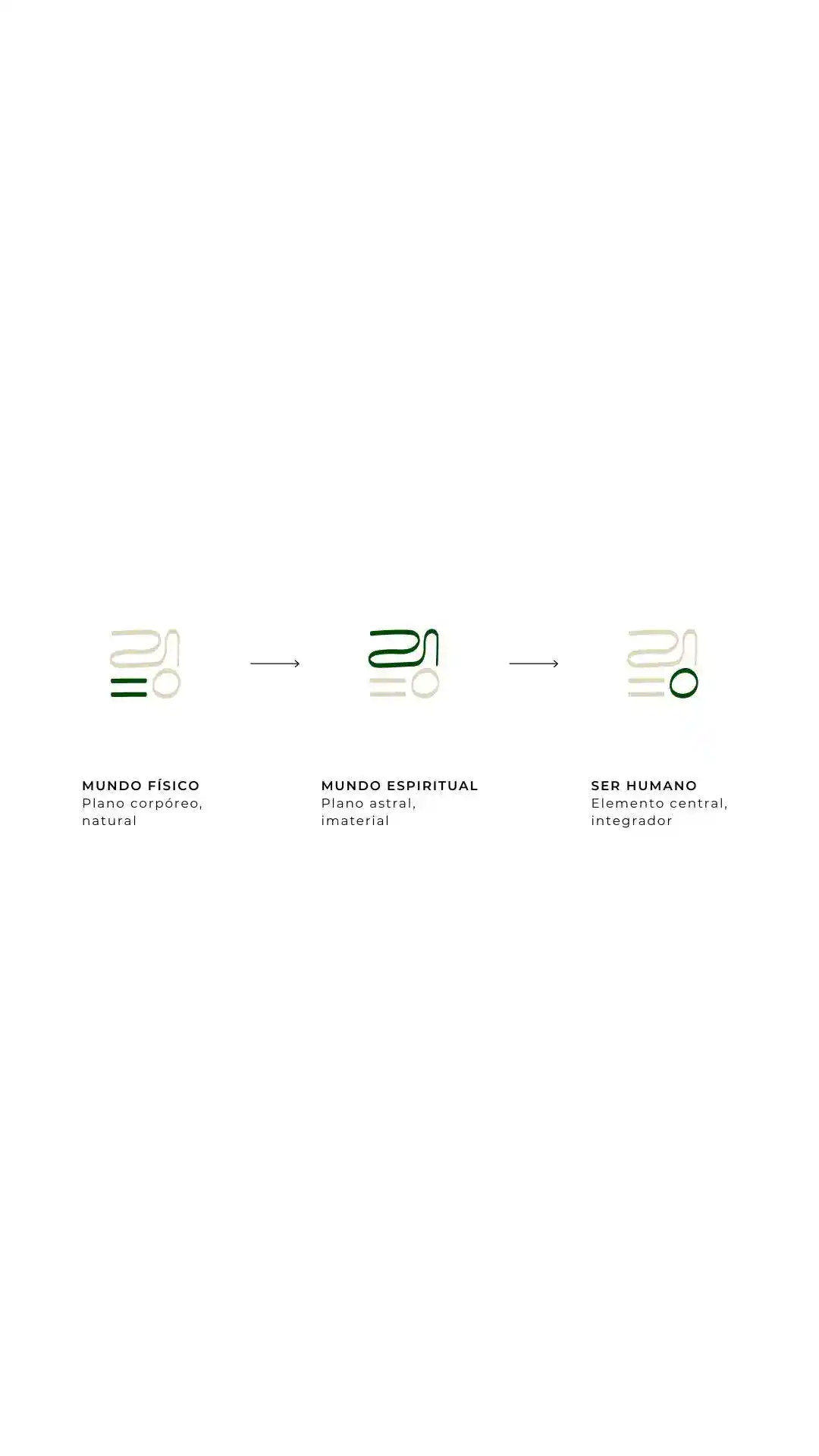 Identidade Visual Aplicativo Wellness