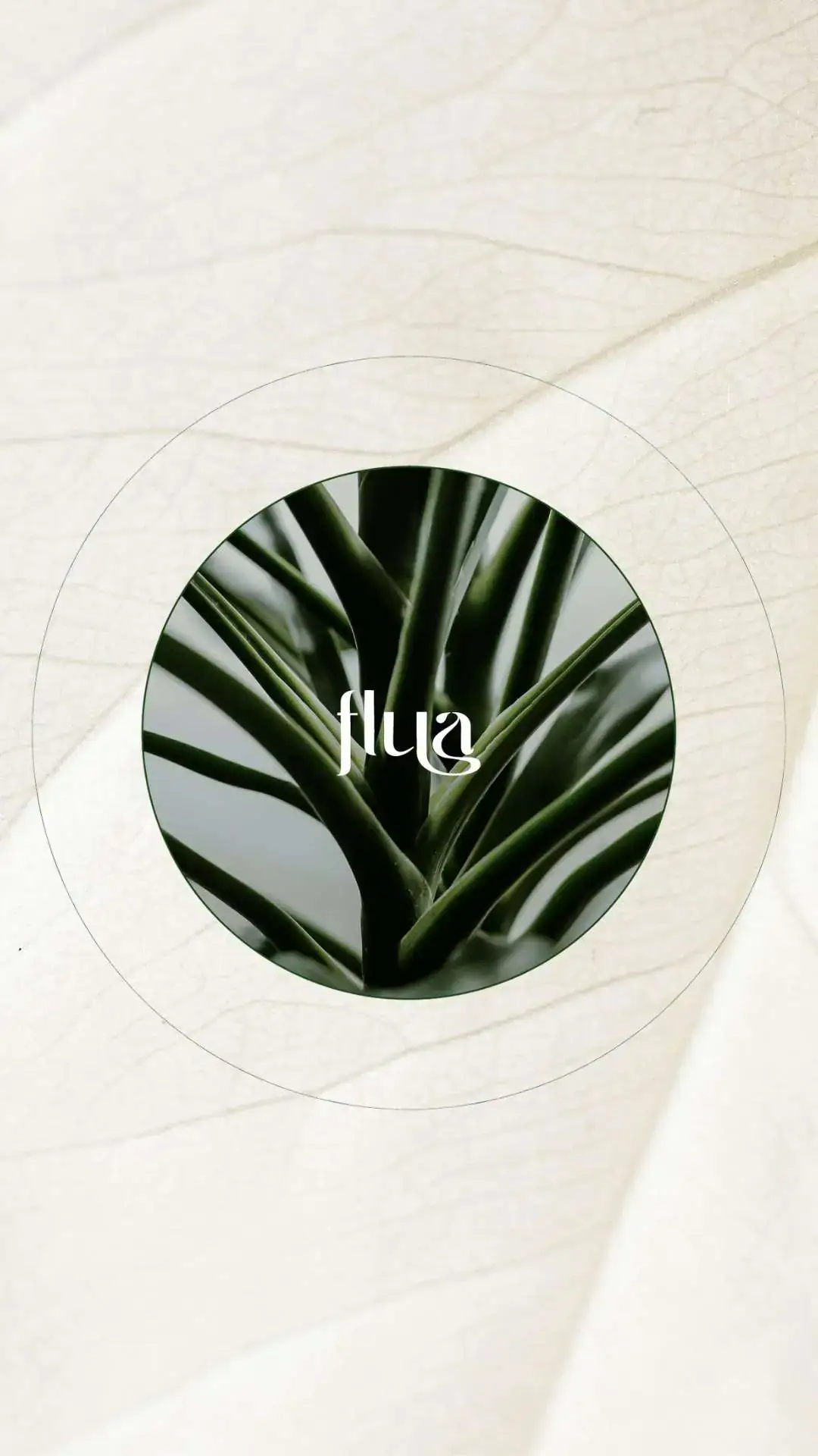 Identidade Visual Aplicativo Wellness