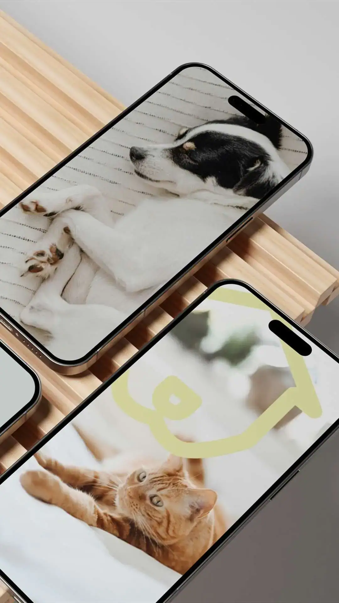 Identidade Visual para Veterinária
