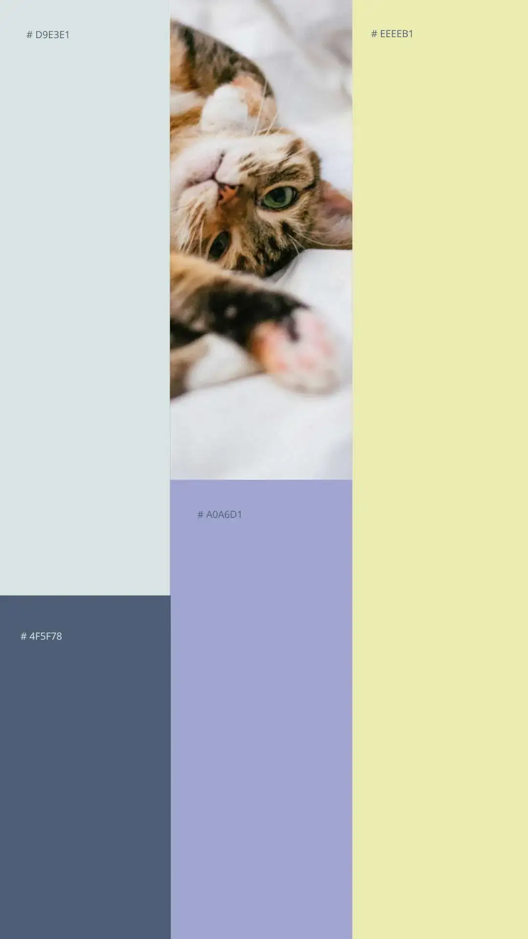 Identidade Visual para Veterinária