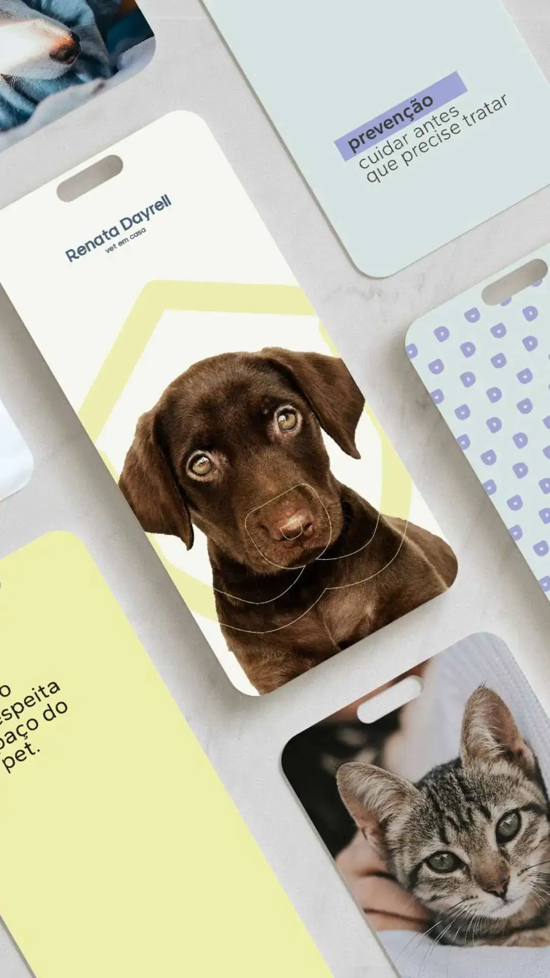 Identidade Visual para Veterinária