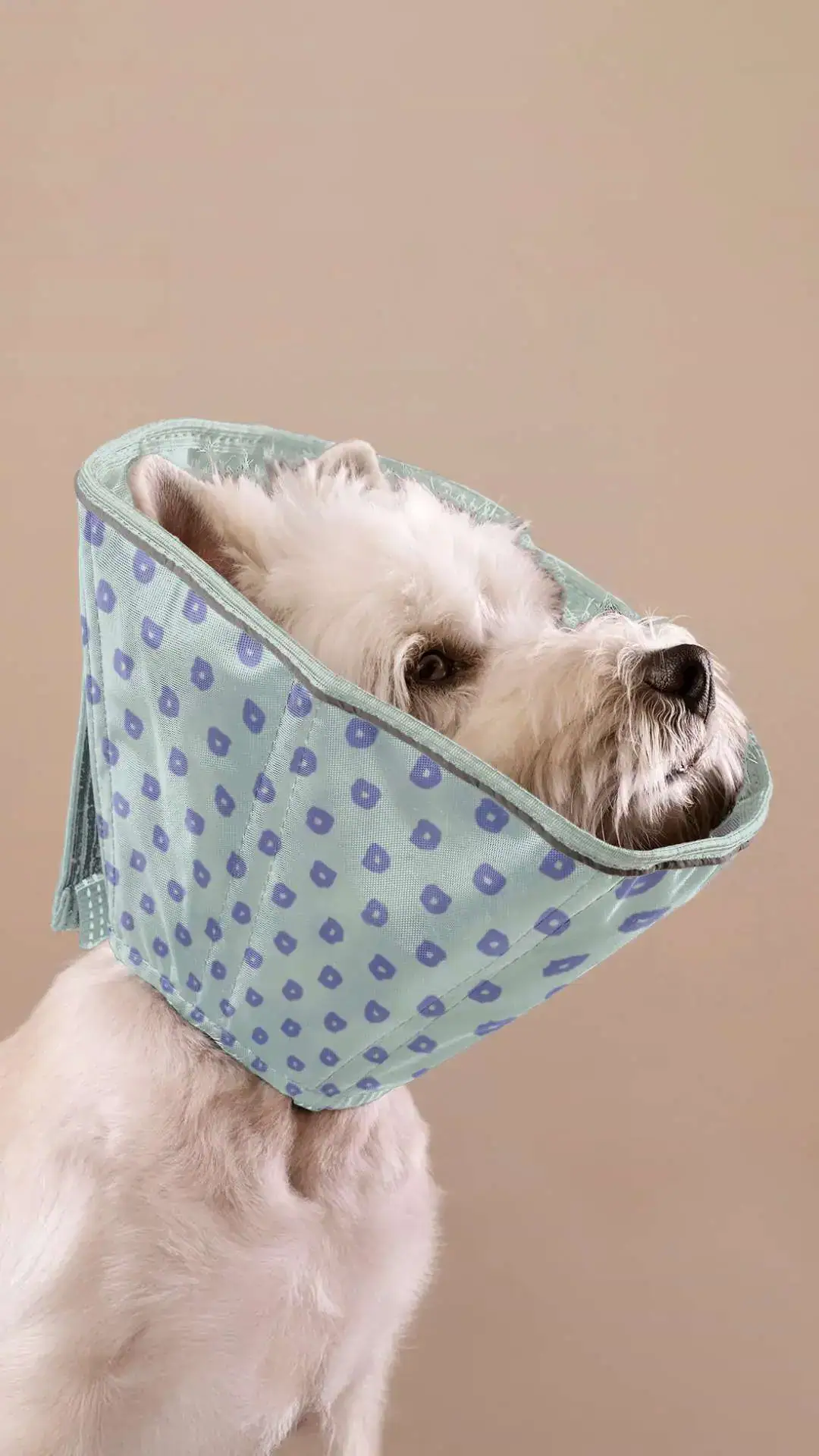 Identidade Visual para Veterinária