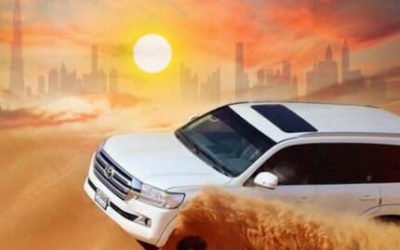 Desert-Safari-430x430