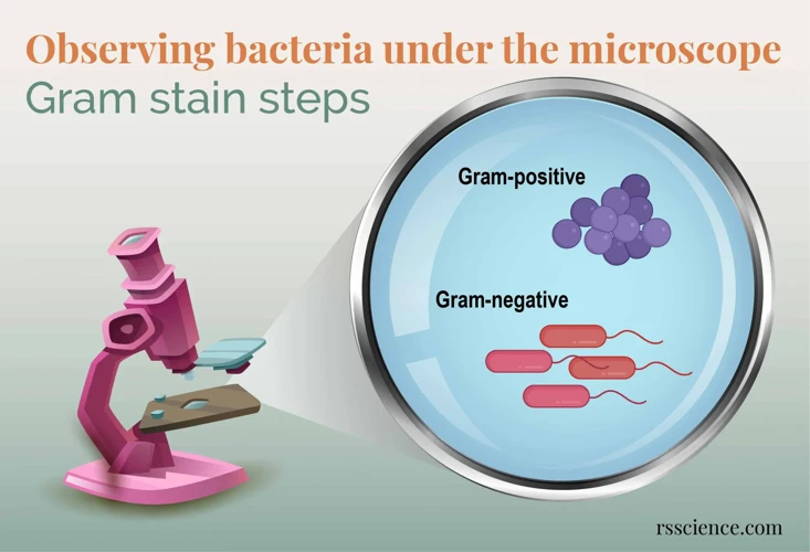 Determining Bacteria Without A Microscope