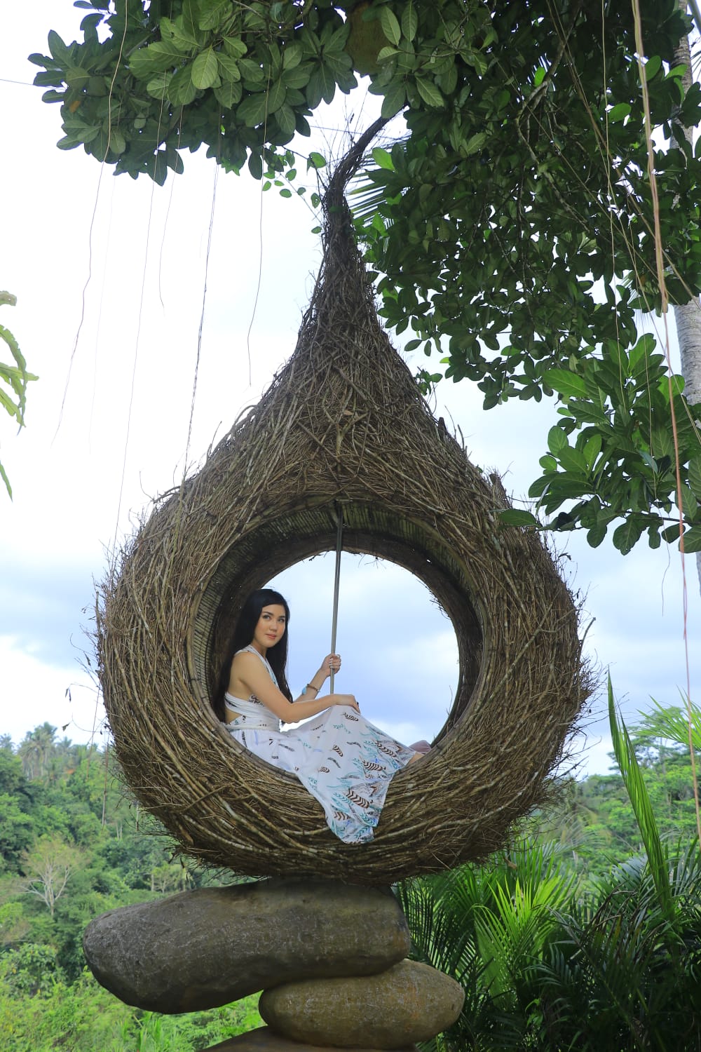nest