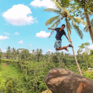 aloha-ubud-swing-gallery- (1)