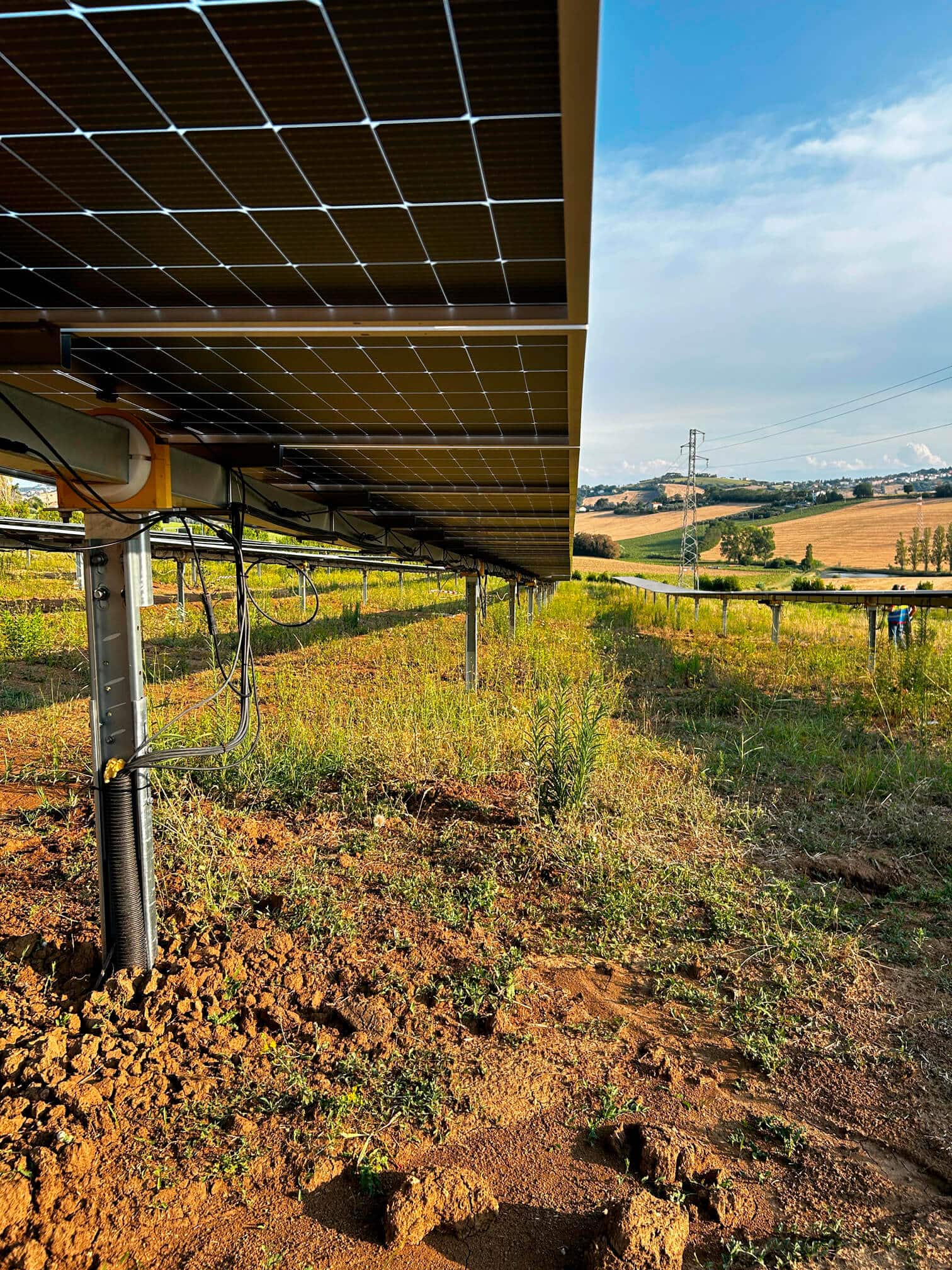 Conventional solar park