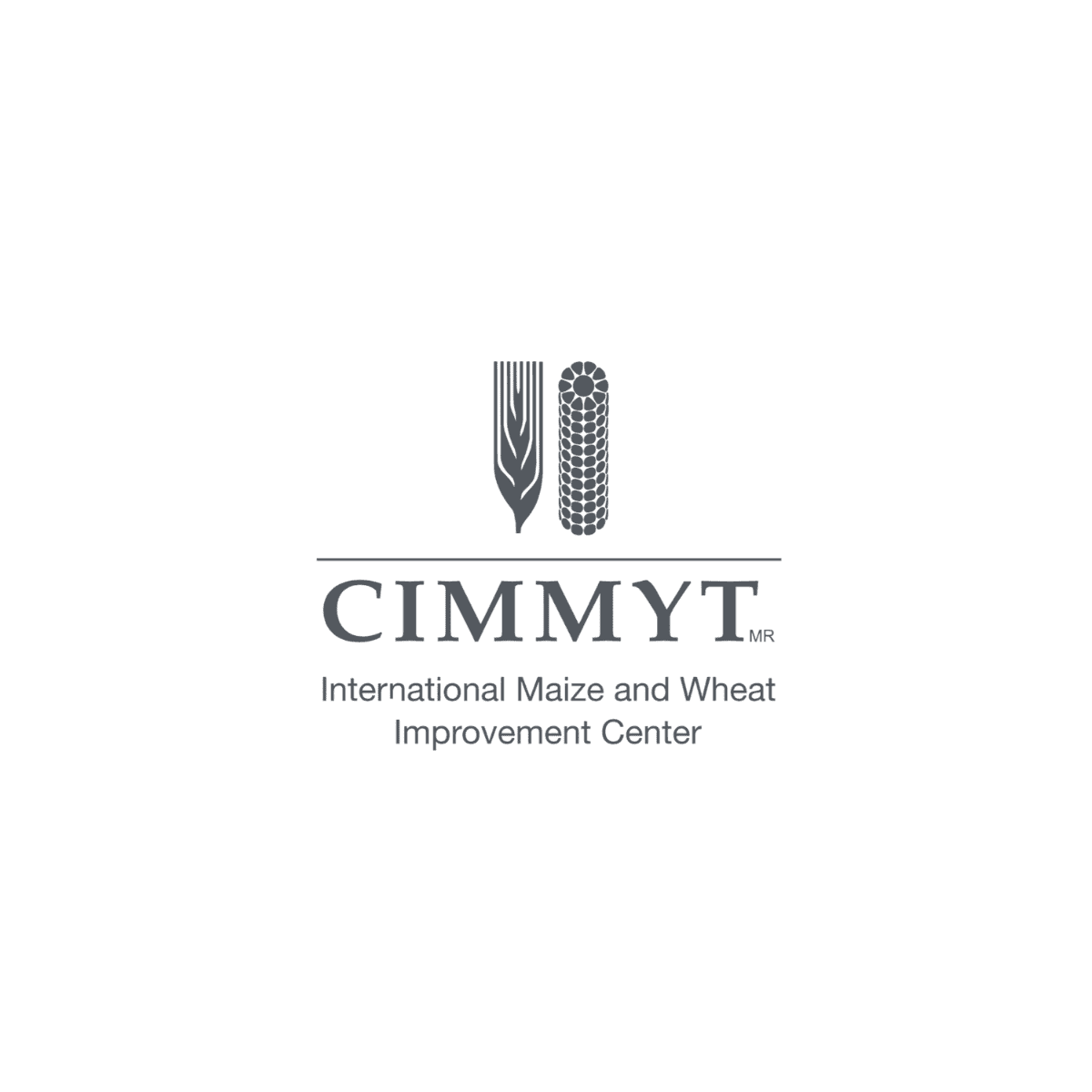 CIMMYT logo