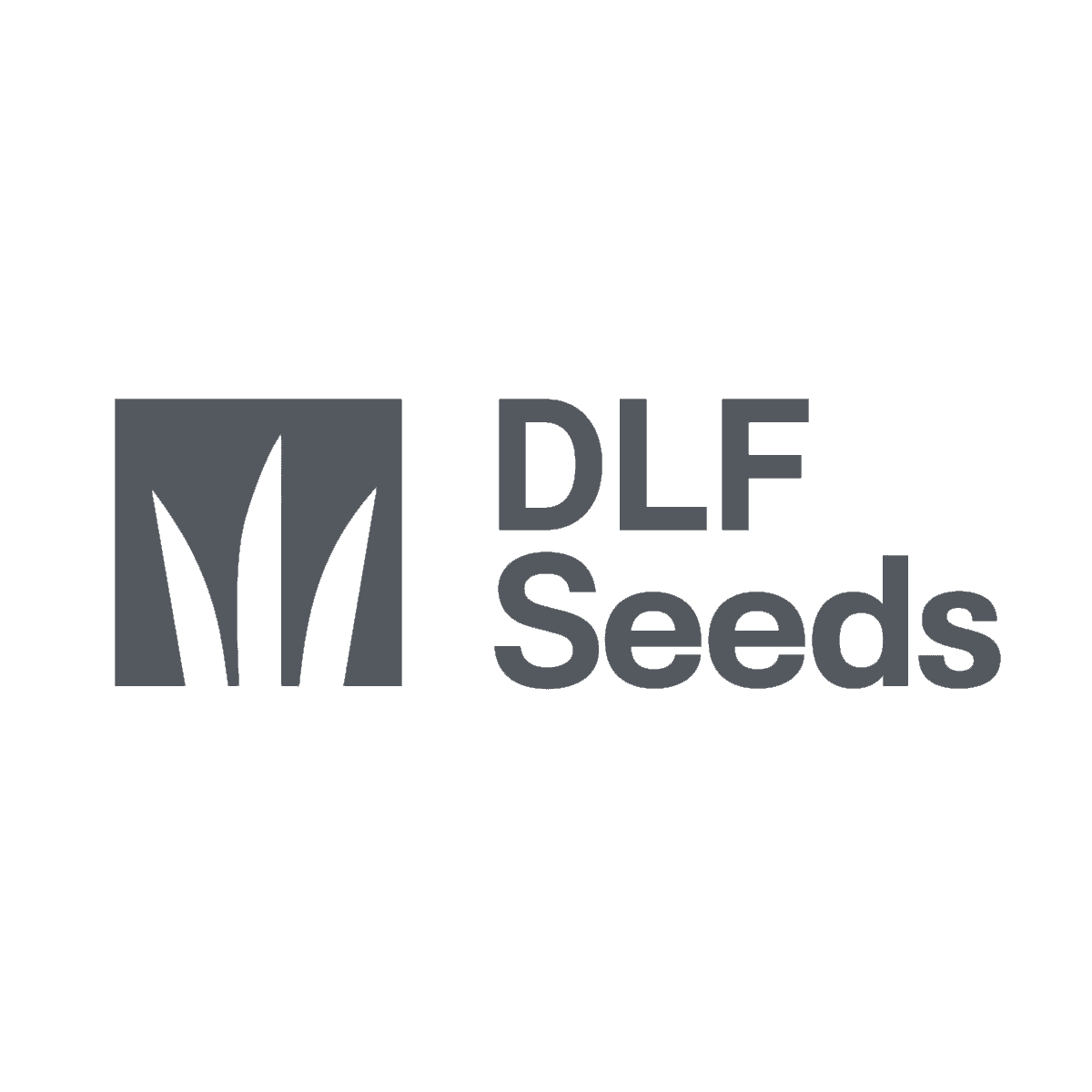 DLF logo