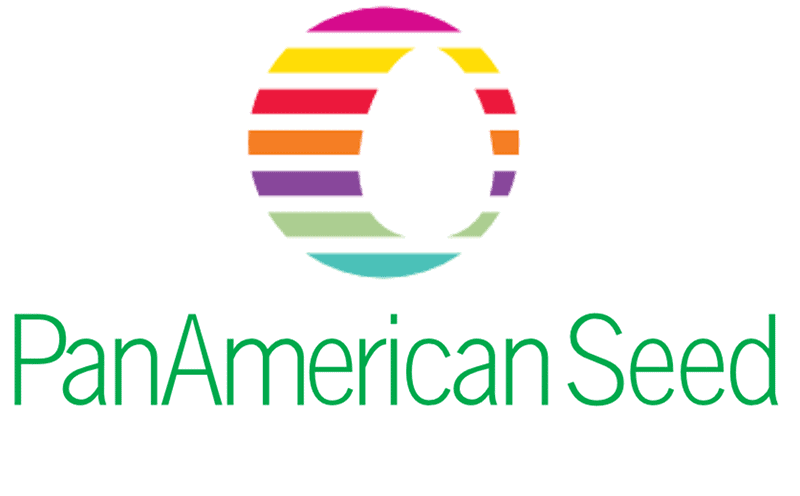 PanAmerican Seed