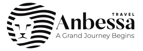 anbesa-logo-black