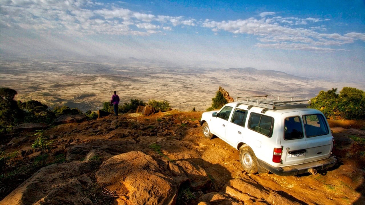 Car Rental