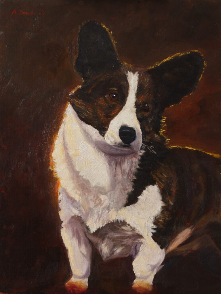 Pet portairt oil painting depicting a corgi cardigan champion Lord painted by Andrea Bocedi