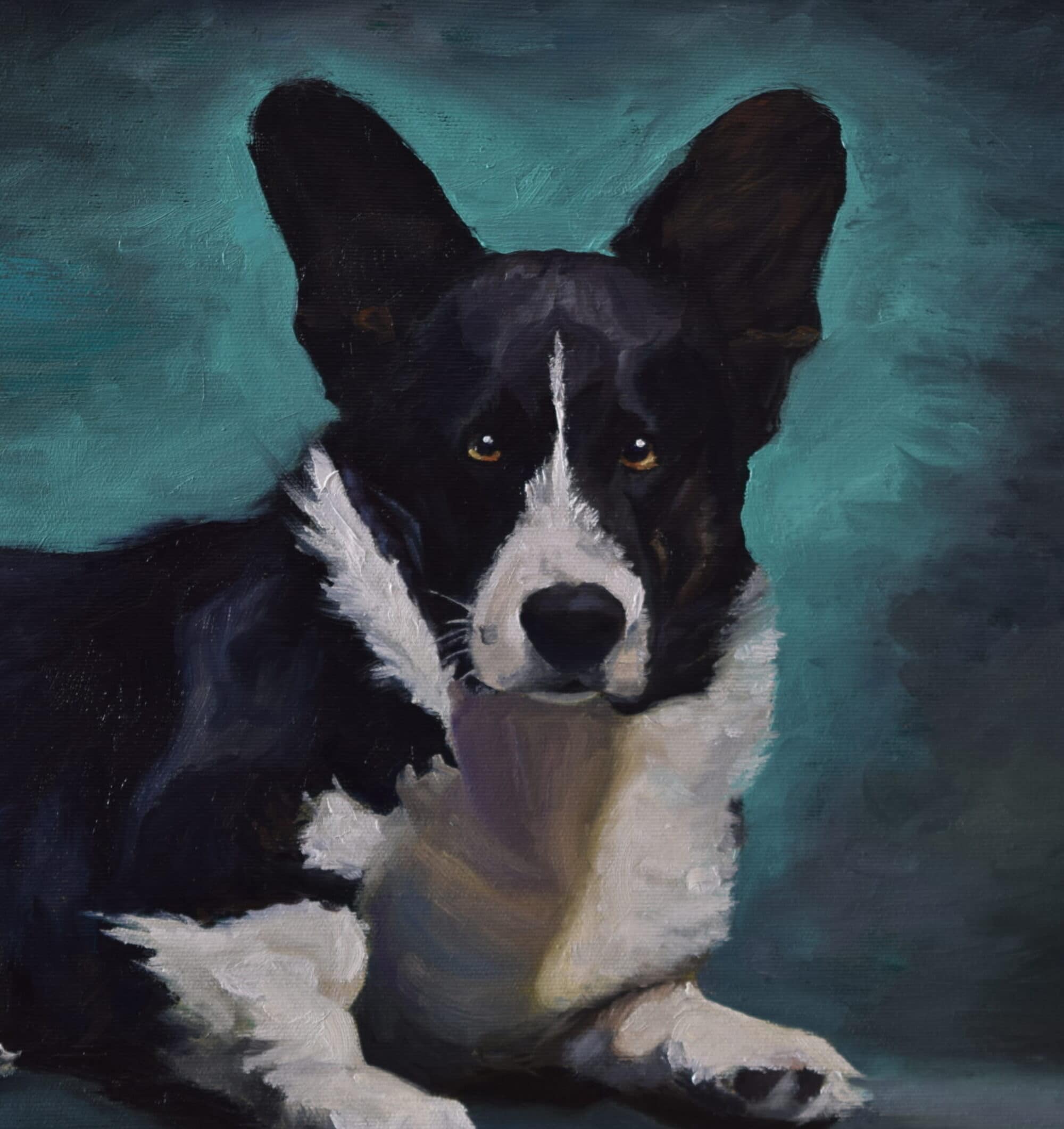 Black and white Cardigan Corgi dog oil portrait by Andrea Bocedi