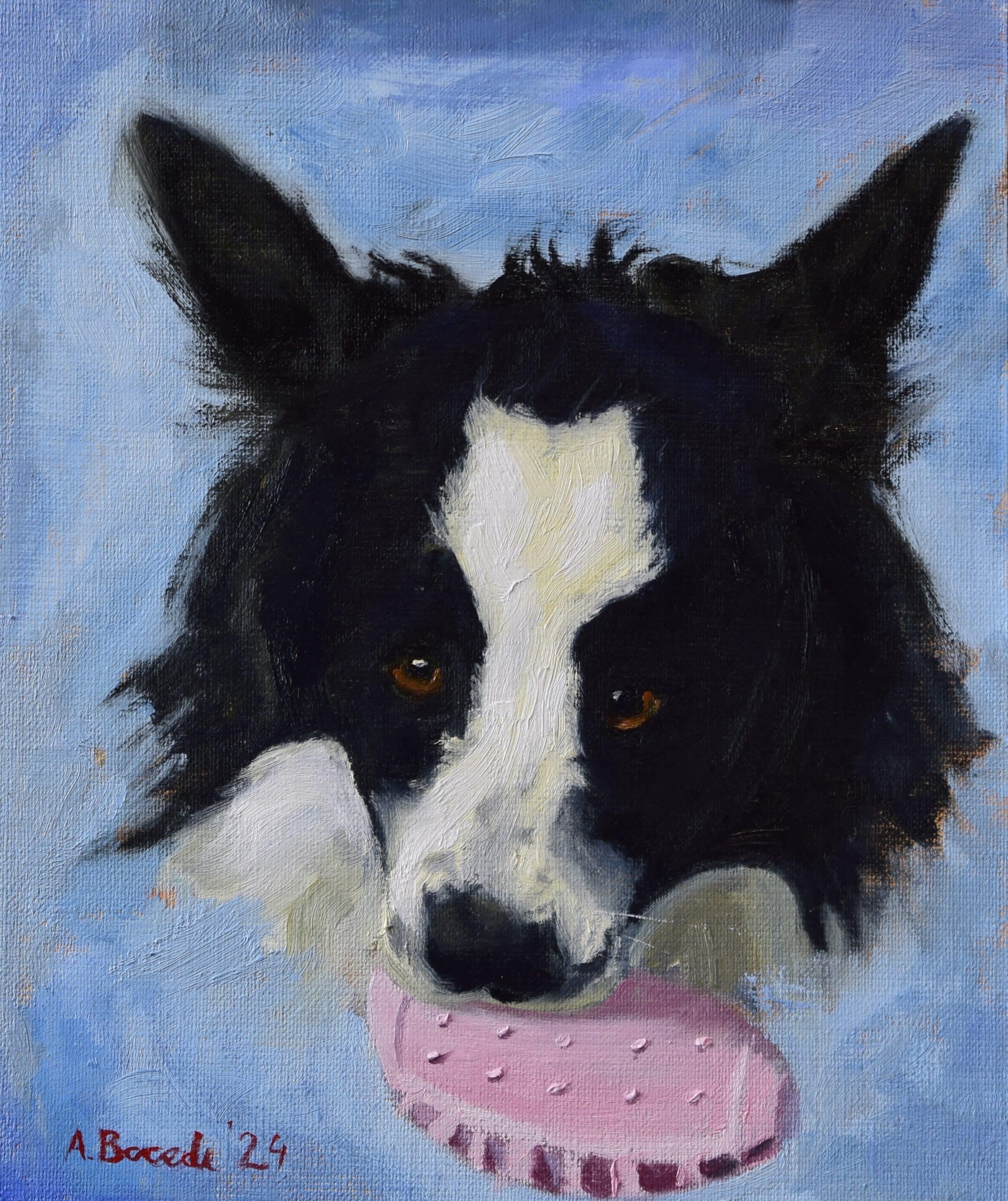 Border Collie oil portrait painted from photo by Andrea Bocedi, custom pet portrait with expressive eyes and pink toy.