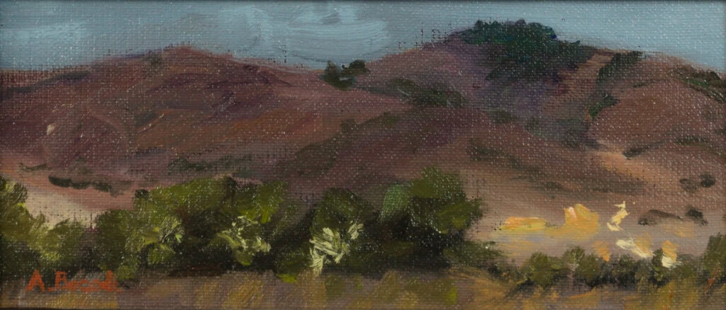 Affordable Original Oil Paintings