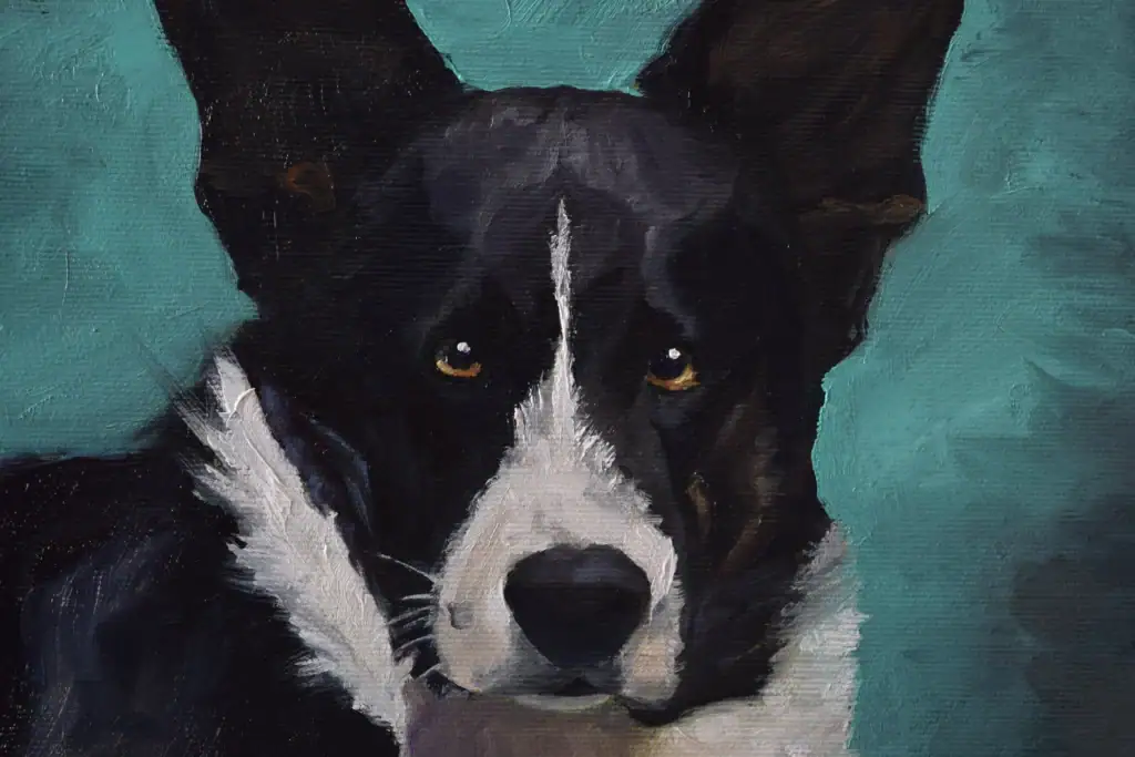 Dog and Pet Portraits in Oil