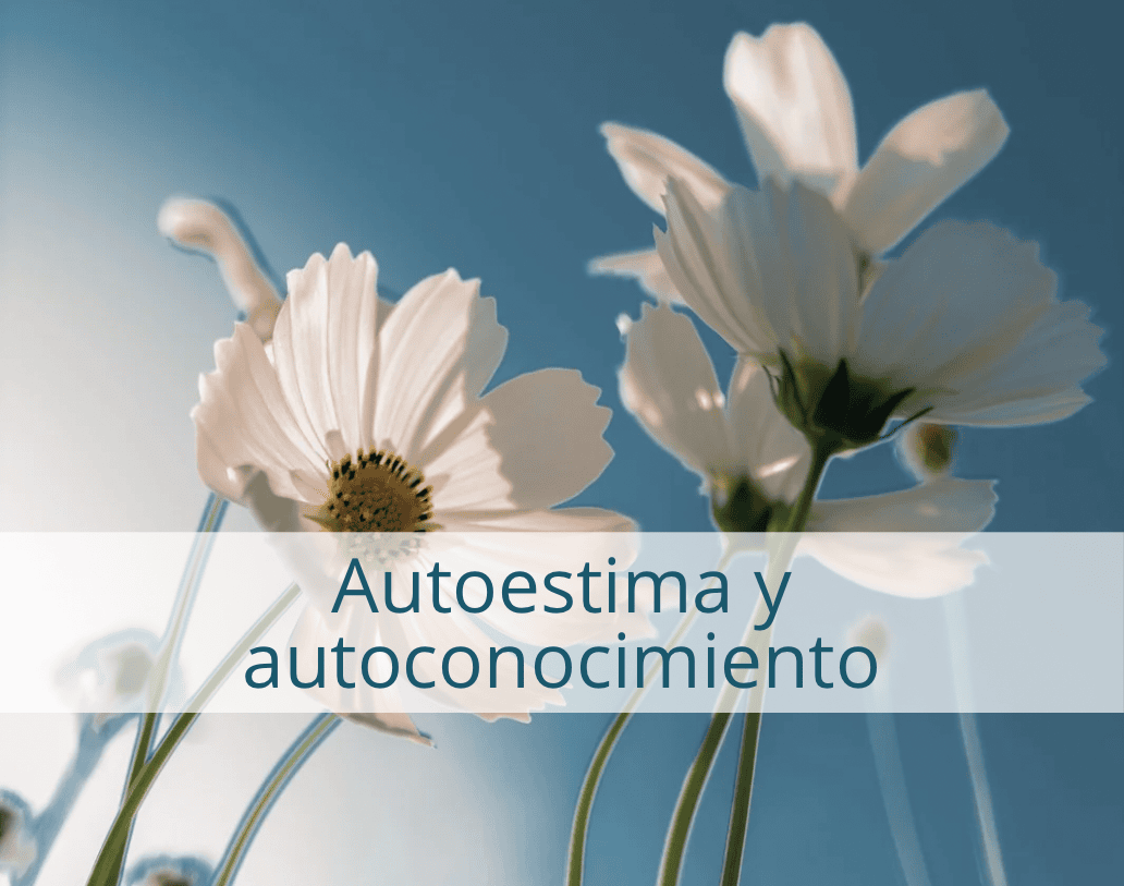 Autoestima