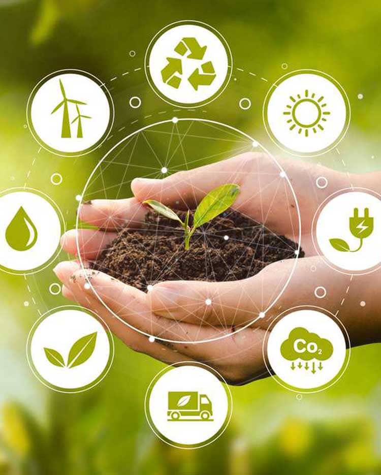 ELETRICIDADE: CAMINHO PARA ENERGIAS SUSTENTÁVEIS