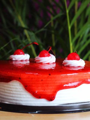 apapachomio_frutos_rojos