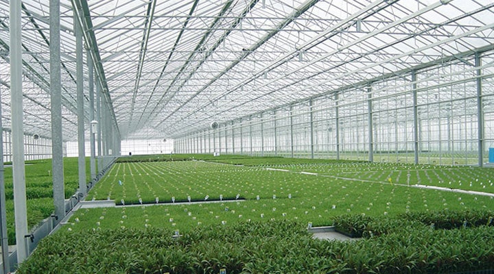 Polycarbonate Roof Sheeting