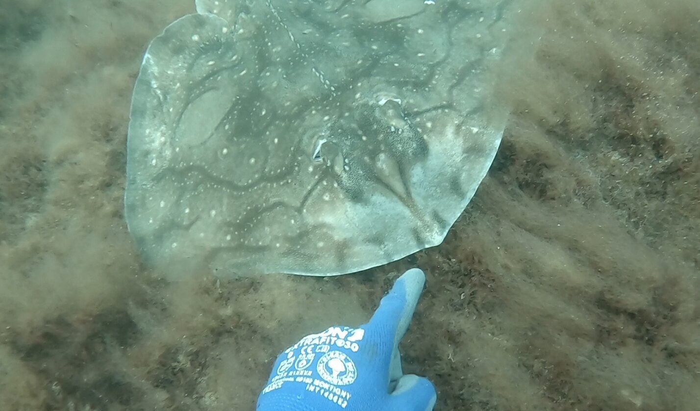 Des spots exceptionnels