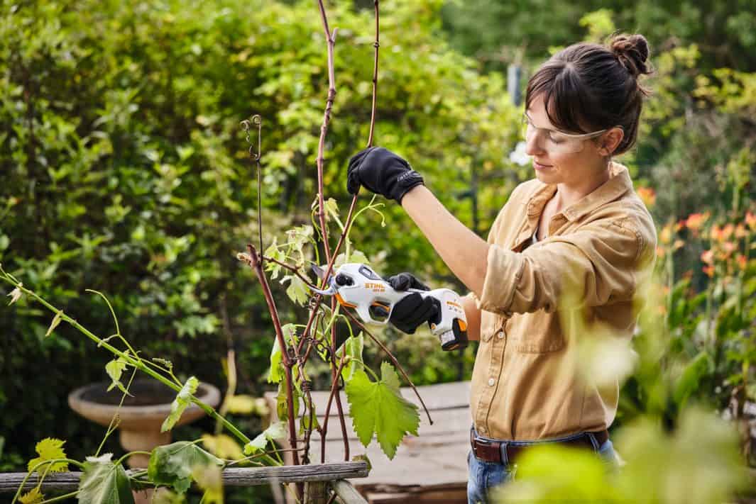 STIHL ASA20 Effortless Cordless Secateurs (Unit only)- AS System