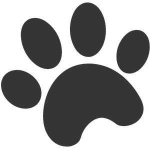 paw