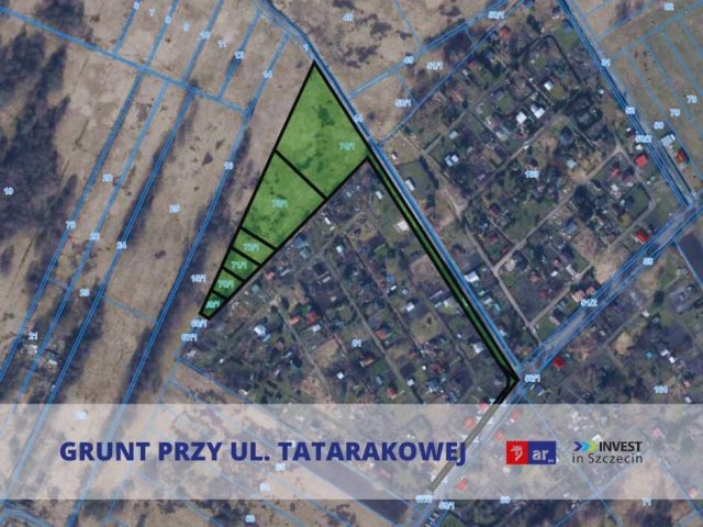 Tatarakowa (Prawobrzeże) – gruntowa