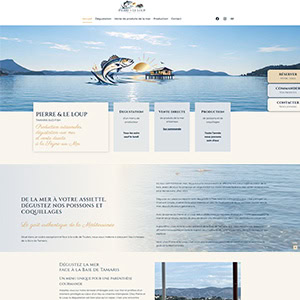 Page d'accueil du site Pierre et le loup