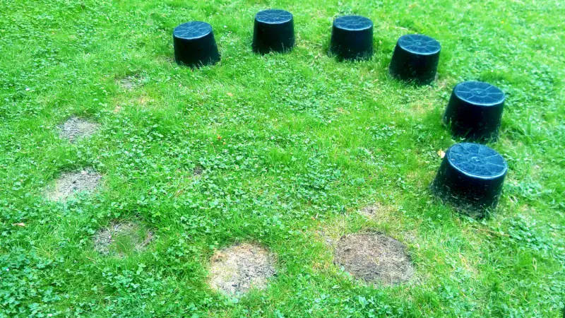 Vegetationszirkel