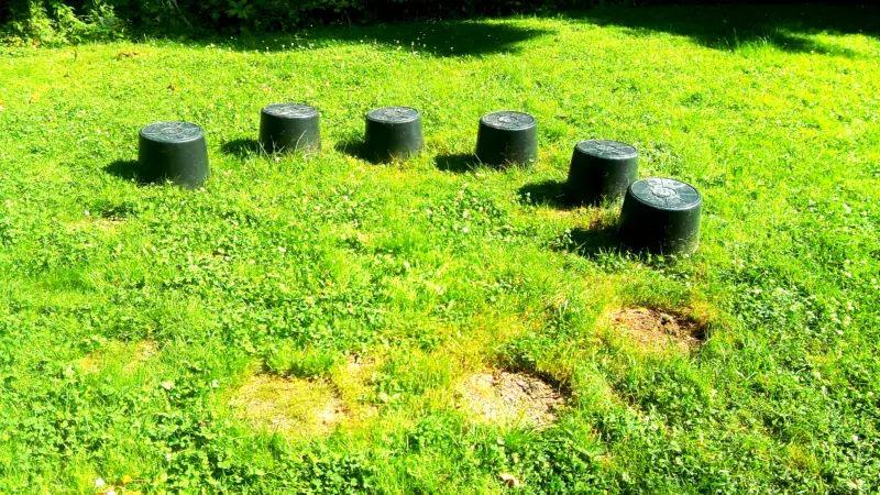 Vegetationszirkel1