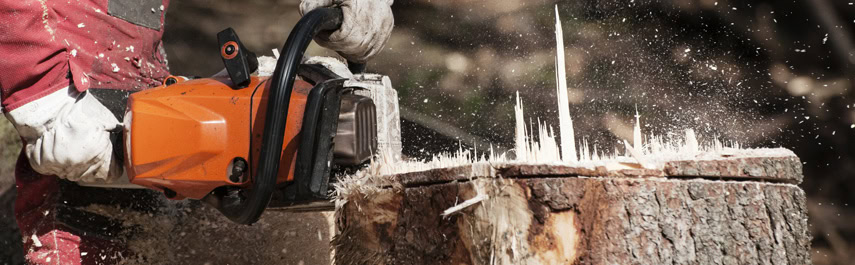 Stump and Tree Removal Services