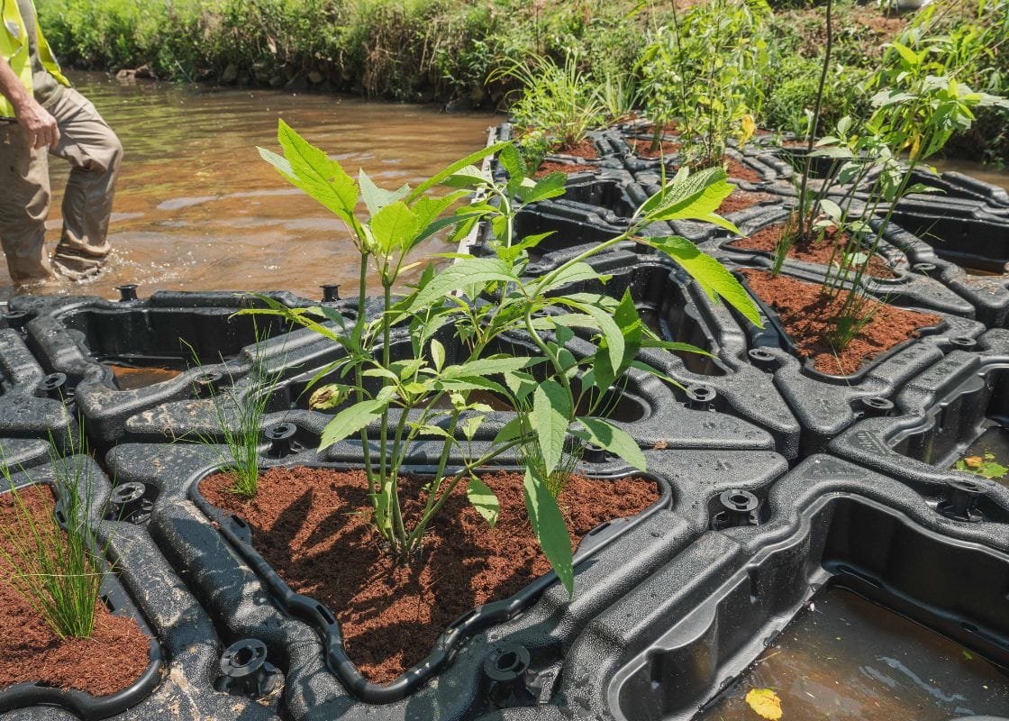 Floating Treatment Wetlands - Chattahoochee Riverkeeper 4
