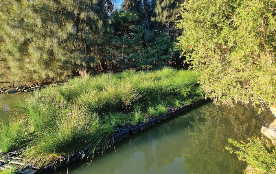 Floating-Treatment-Wetland-FF00.jpg