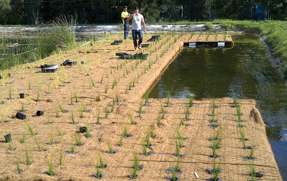 Floating-Treatment-Wetland-FF11.jpg