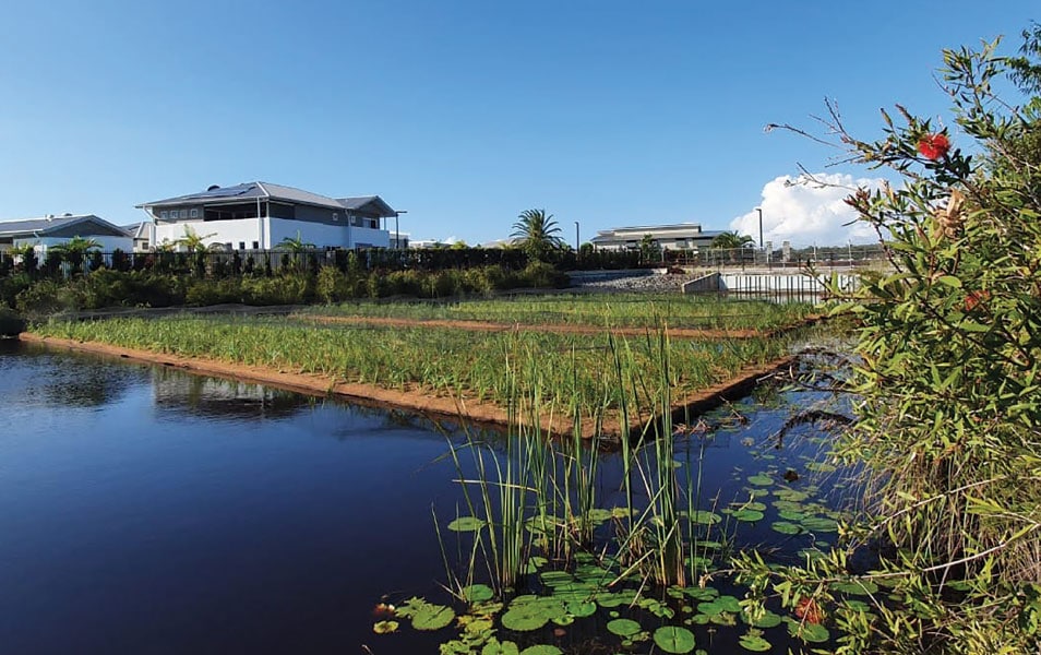 Floating-Treatment-Wetland-FF12.jpg