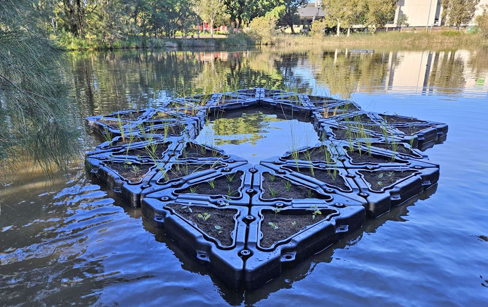Floating-Treatment-Wetland-FF21.jpg
