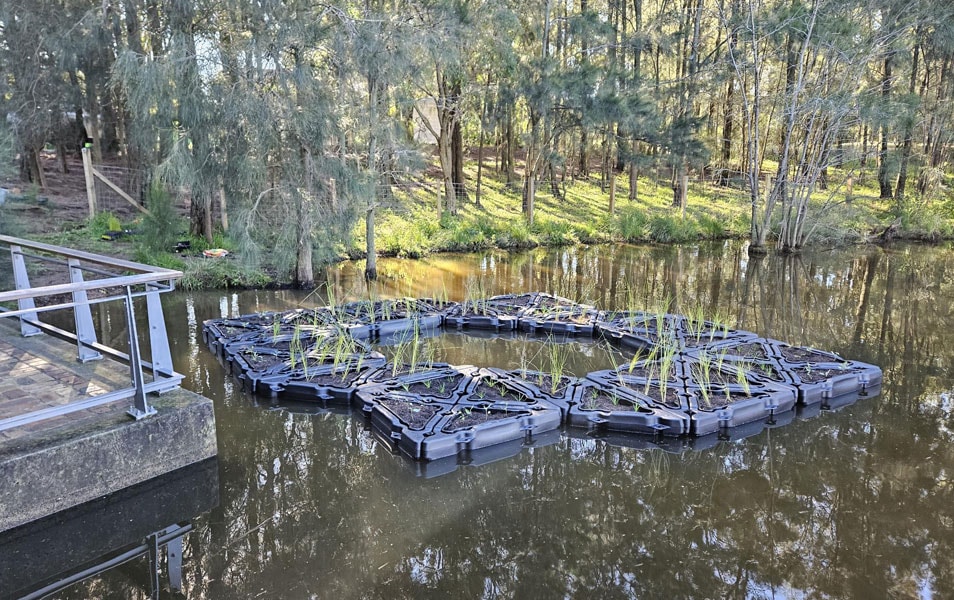 Floating-Treatment-Wetland-FF22.jpg