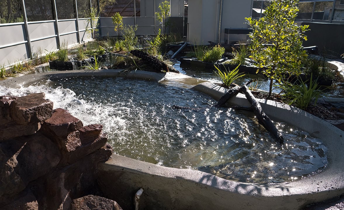 FloatingTreatmentWetlands-Showcase-25-07.jpg