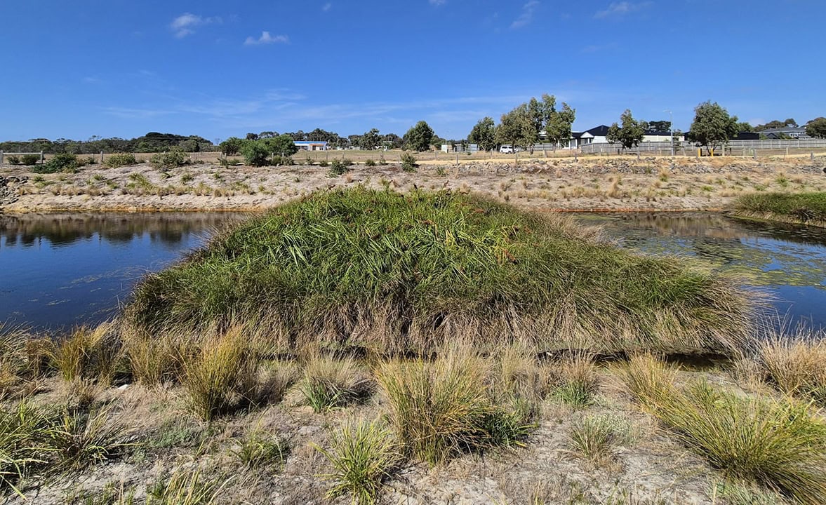 FloatingTreatmentWetlands-Showcase-25-09.jpg