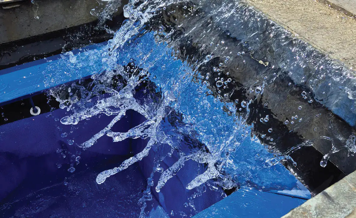 AtlanTrap-Showcase-6.webp