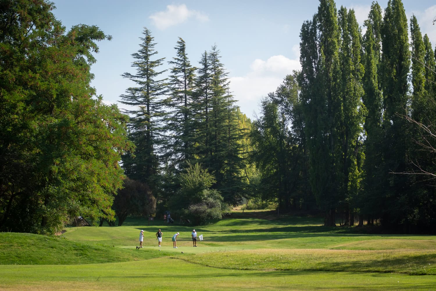 Cancha de golf
