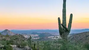 January 2026 ahwatukee housing market update | az andrea real estate in phoenix arizona az andrea real estate