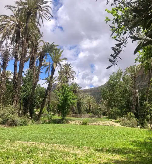 Hiking the palm-lined trails of Paradise Valley Agadir