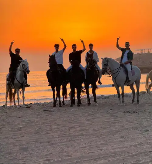 -Hour Sunset Taghazout Horse Riding
