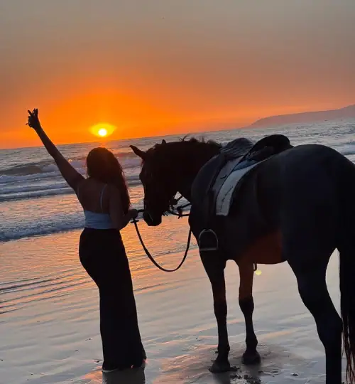 -Hour Sunset Taghazout Horse Riding