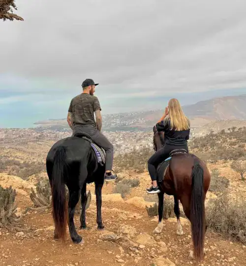 half day horse riding in Taghazout along the beach