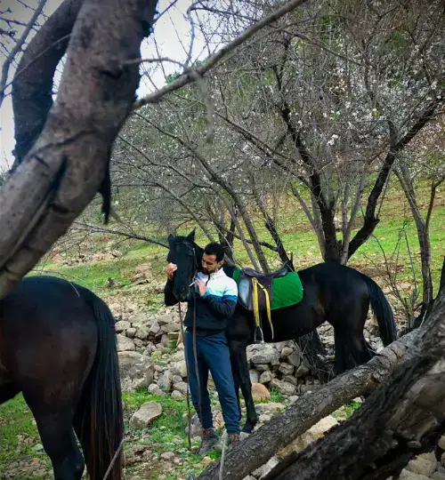 half day horse riding in Taghazout along the beach