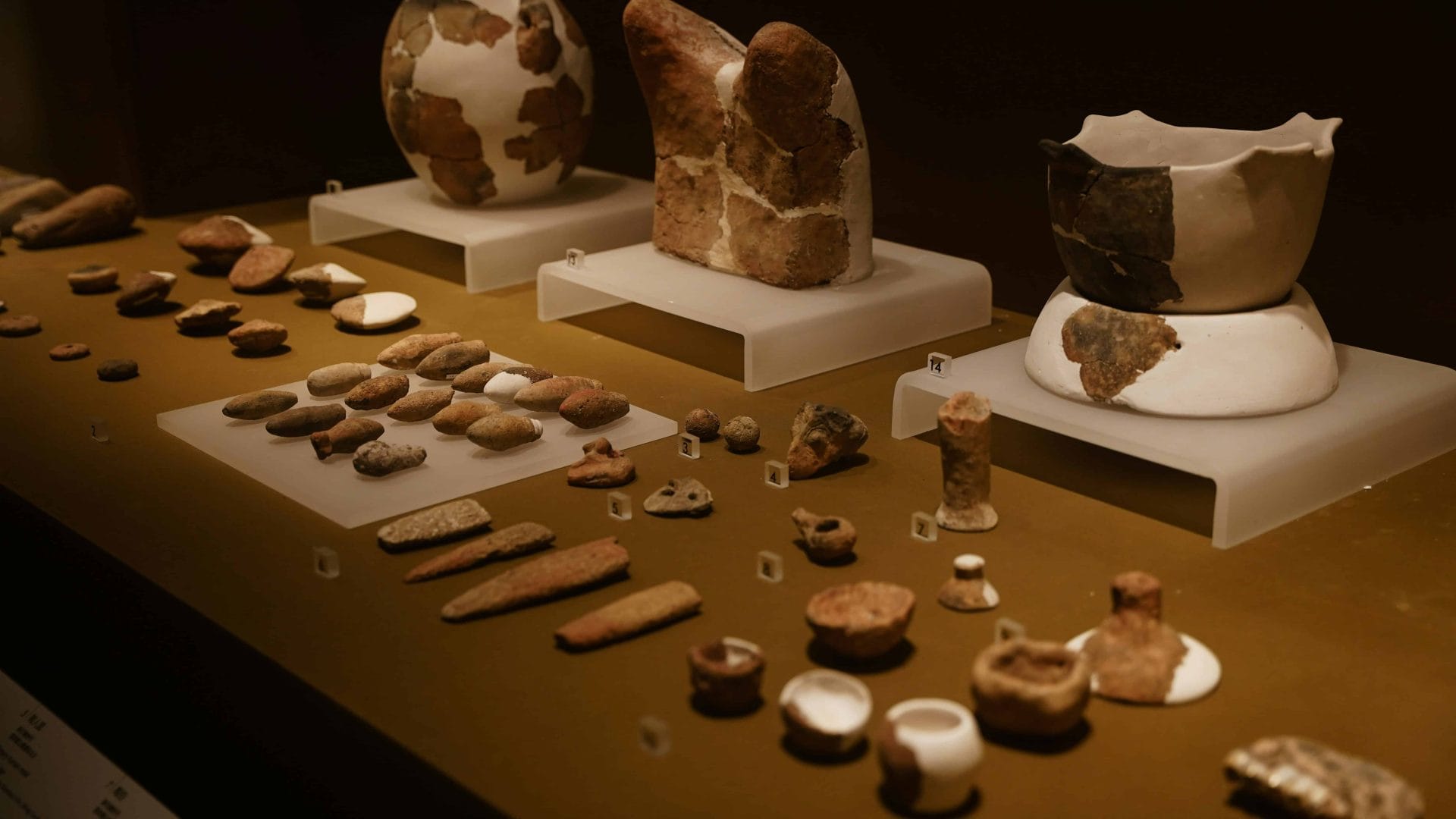 Museum display featuring archaeological pottery, stone tools, and ancient artifacts.